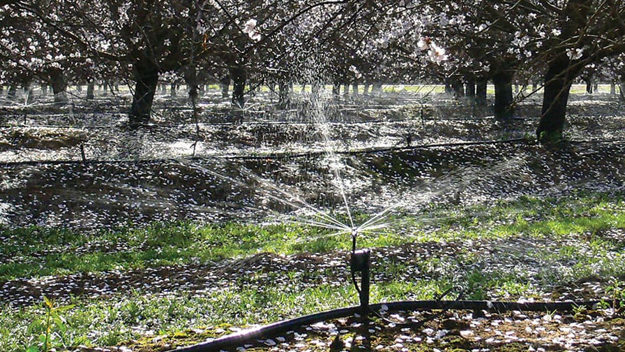 Frost Protection with Fan-Jets